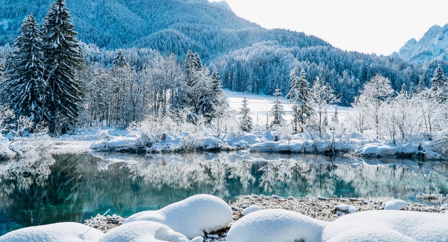 Bezoek Kranjska Gora en Zelenci natuurreservaat Bezoek Kranjska Gora en Zelenci natuurreservaat