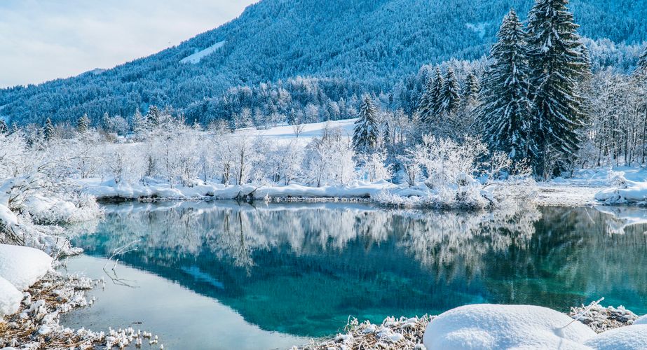 Bezoek Kranjska Gora en Zelenci natuurreservaat Bezoek Kranjska Gora en Zelenci natuurreservaat