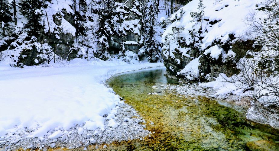 Bezoek Kranjska Gora en Zelenci natuurreservaat Bezoek Kranjska Gora en Zelenci natuurreservaat