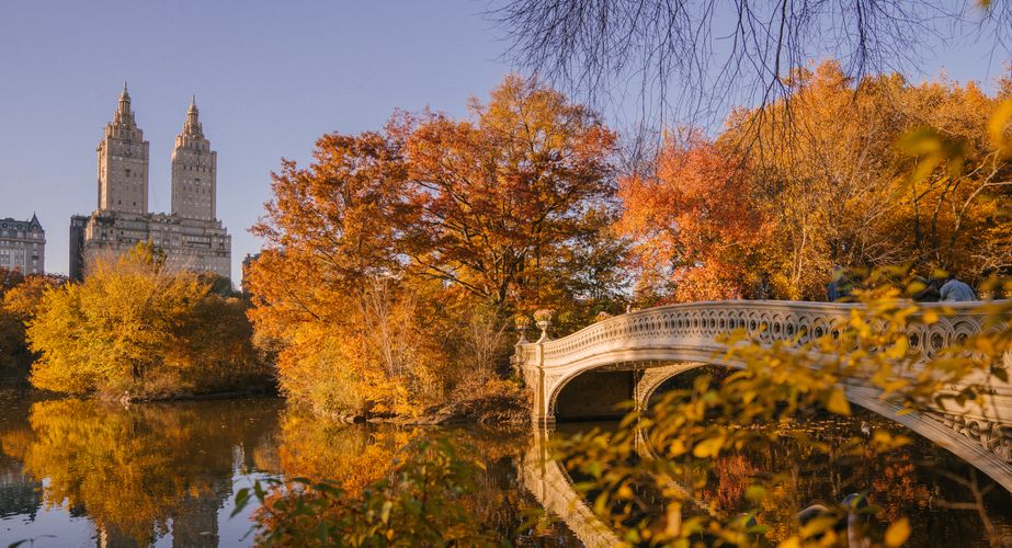 Central Park Central Park