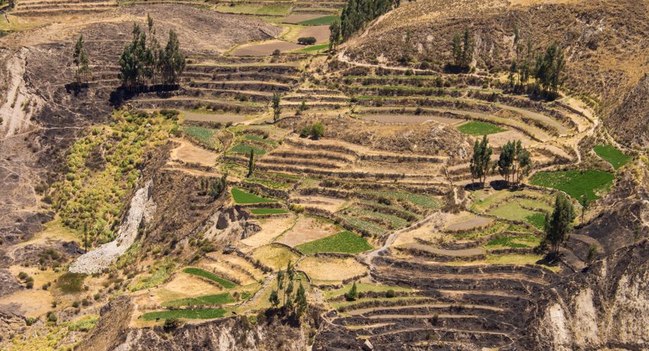 Colca Vallei