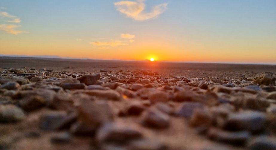 20221026_182954 20221026_182954