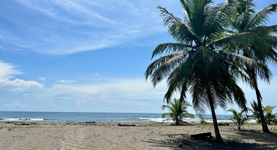 Costa Rica gidsbeelden strand