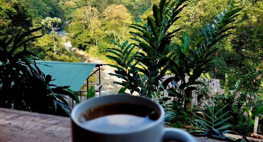 Costa rica kop koffie en uitzicht gidsbeelden