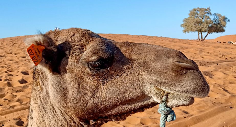 IMG20221027165256 IMG20221027165256