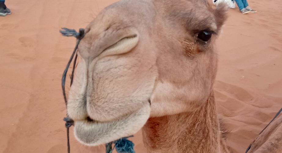 IMG20221028072046 IMG20221028072046