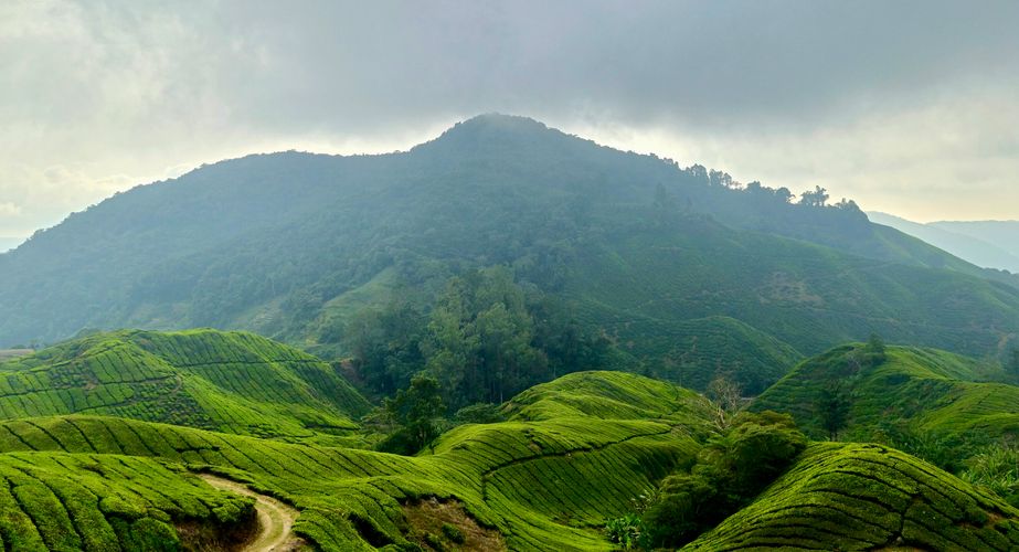 Maleisie10 Maleisie10