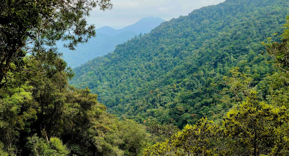 Maleisie12 Maleisie12