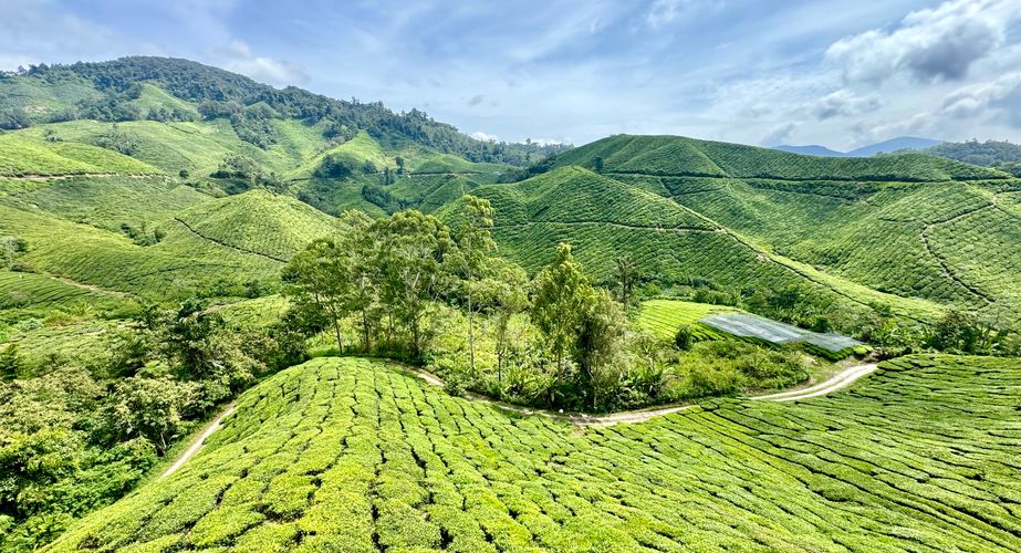 Maleisie35 Maleisie35