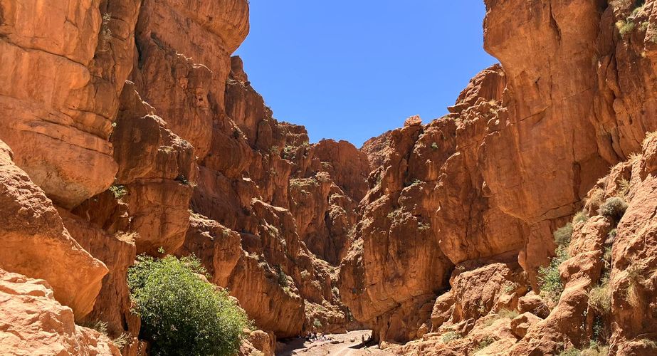 PHOTO 2023 05 13 20 59 13 PHOTO 2023 05 13 20 59 13