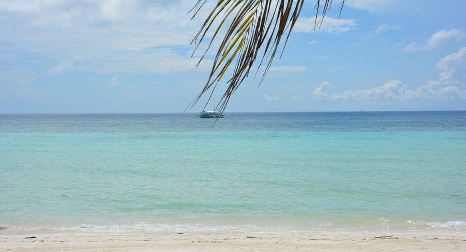 alicia canosa 0KWI9a9ToF8 unsplash