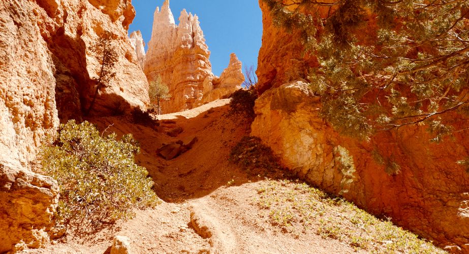 bryce canyon grand tour 2023 11