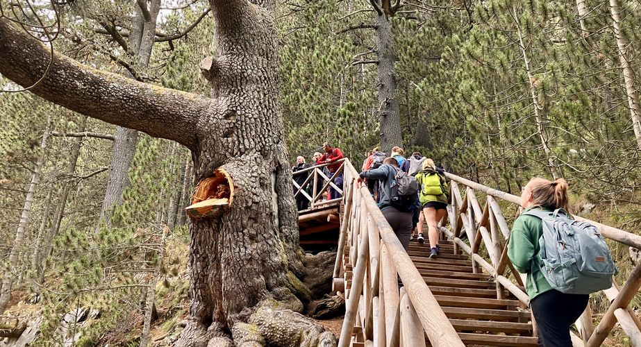 bulgarije 2023 32 bulgarije 2023 32