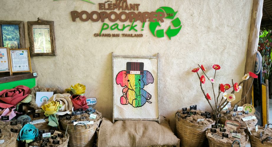 elephant poo poo paper thailand gids feb 2024 1 elephant poo poo paper thailand gids feb 2024 1