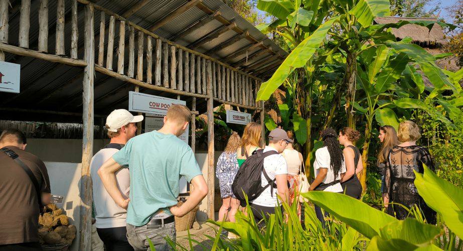 elephant poo poo paper thailand gids feb 2024 10 elephant poo poo paper thailand gids feb 2024 10