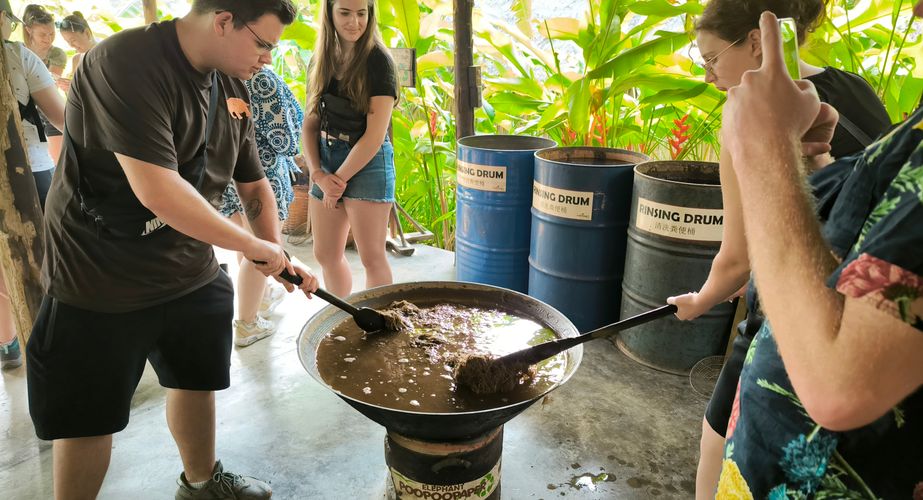 elephant poo poo paper thailand gids feb 2024 11 elephant poo poo paper thailand gids feb 2024 11