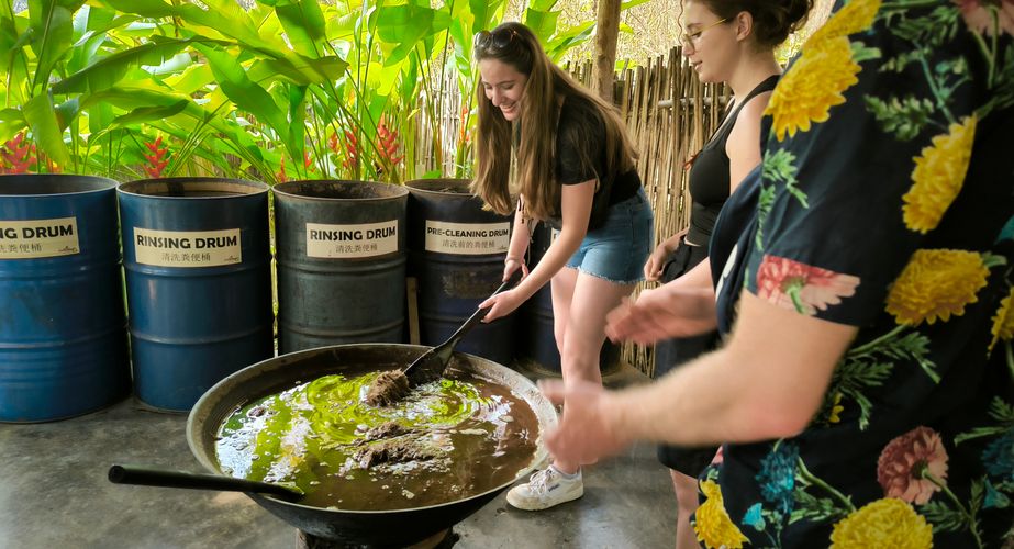 elephant poo poo paper thailand gids feb 2024 12 elephant poo poo paper thailand gids feb 2024 12