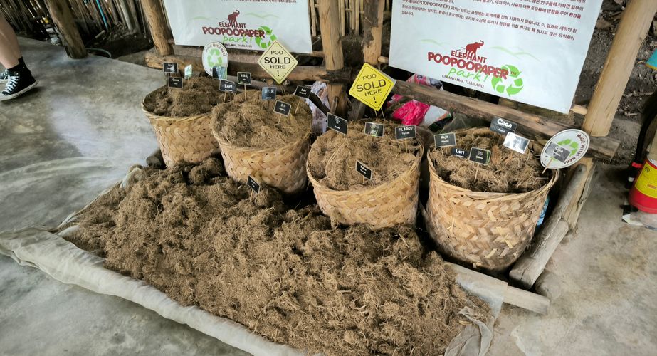elephant poo poo paper thailand gids feb 2024 13 elephant poo poo paper thailand gids feb 2024 13