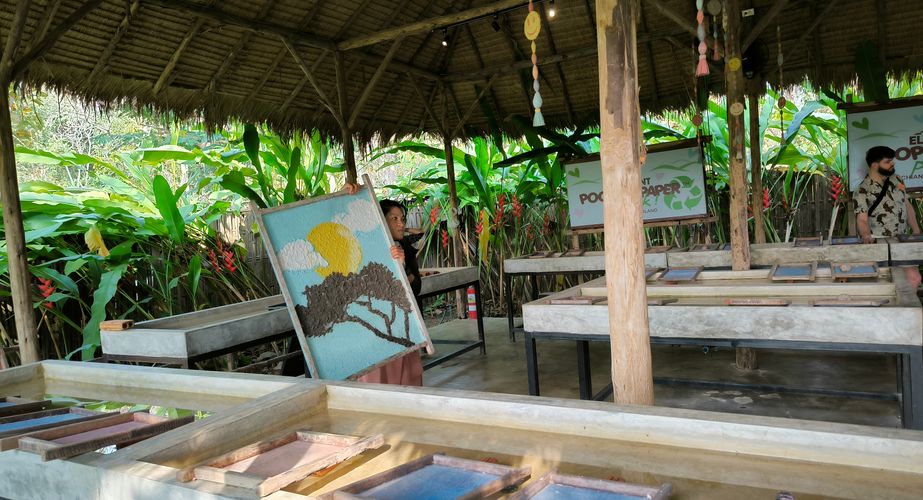 elephant poo poo paper thailand gids feb 2024 23 elephant poo poo paper thailand gids feb 2024 23