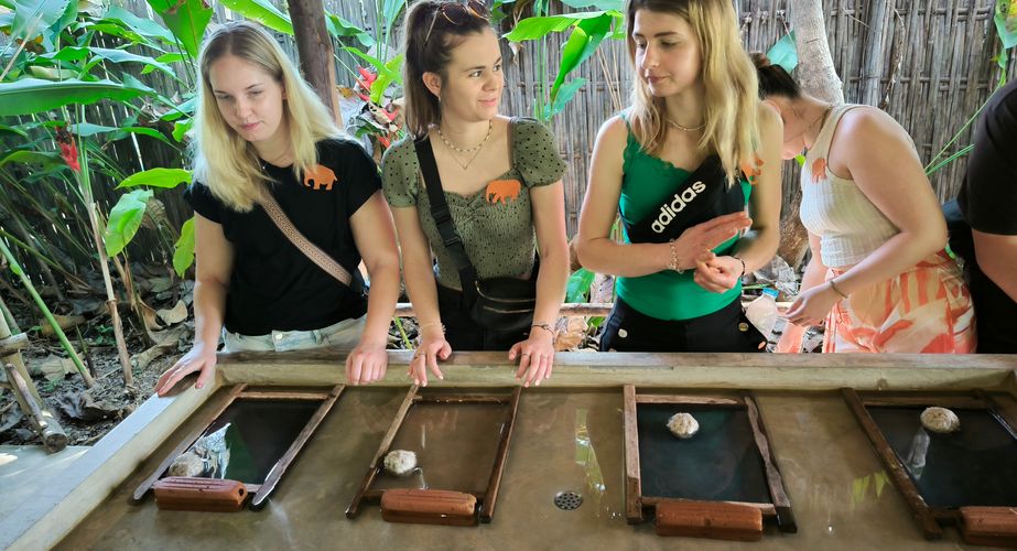 elephant poo poo paper thailand gids feb 2024 25 elephant poo poo paper thailand gids feb 2024 25