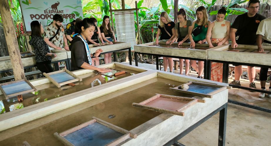 elephant poo poo paper thailand gids feb 2024 29 elephant poo poo paper thailand gids feb 2024 29