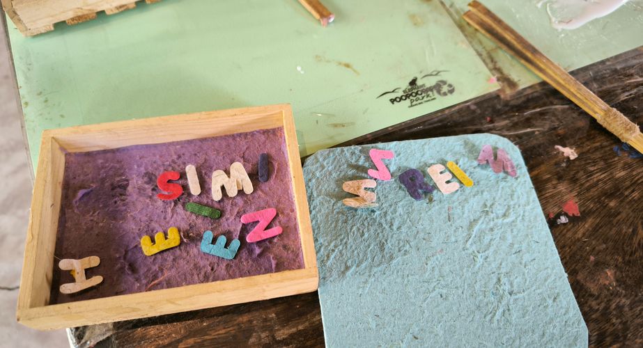 elephant poo poo paper thailand gids feb 2024 35 elephant poo poo paper thailand gids feb 2024 35