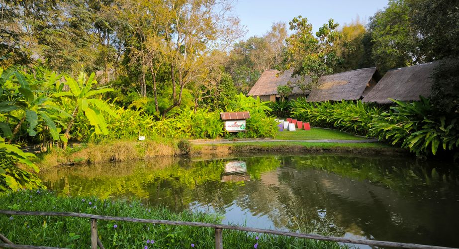 elephant poo poo paper thailand gids feb 2024 5 elephant poo poo paper thailand gids feb 2024 5