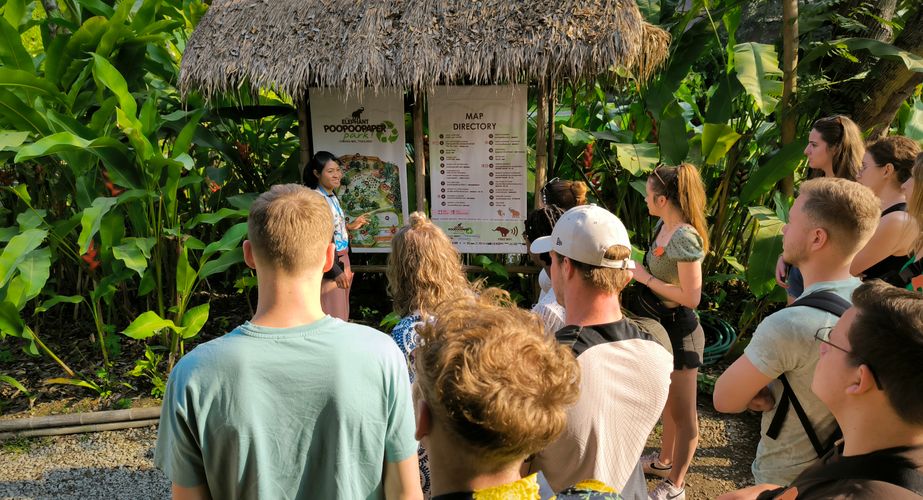 elephant poo poo paper thailand gids feb 2024 6 elephant poo poo paper thailand gids feb 2024 6