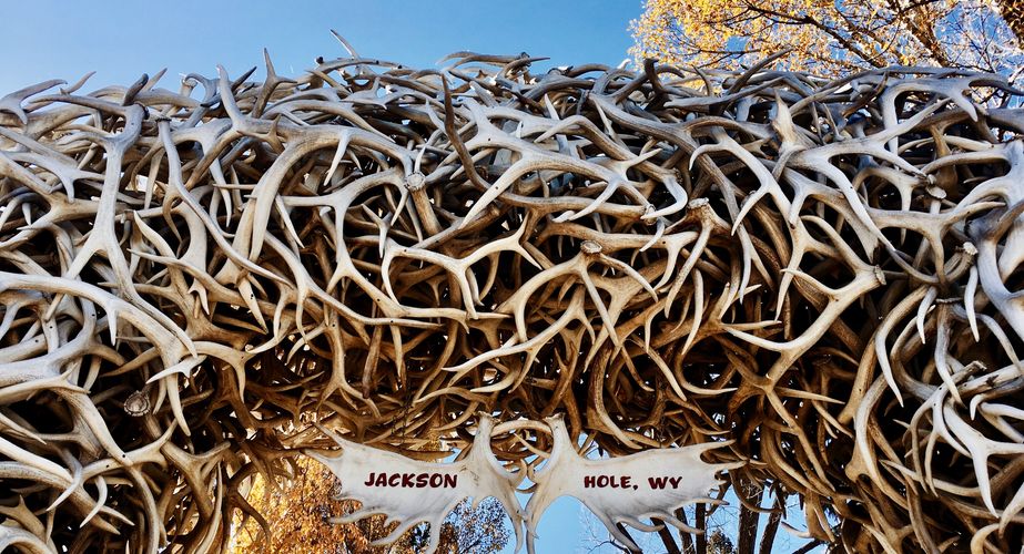 jackson hole groepsreis natuur vs noordwest usa jackson hole groepsreis natuur vs noordwest usa