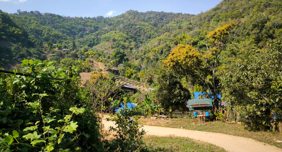 jungle trekking thailand gids feb 2024 10 jungle trekking thailand gids feb 2024 10