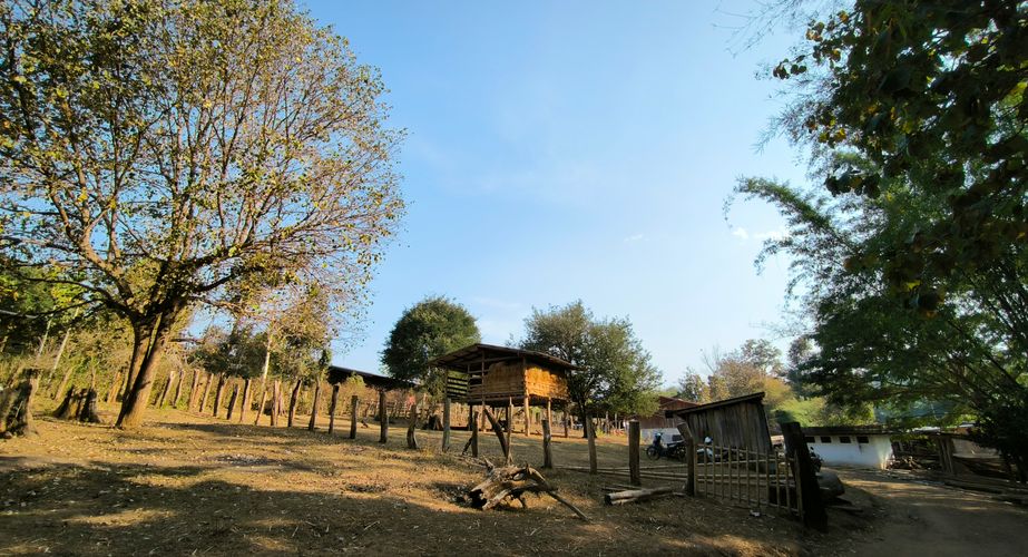 jungle trekking thailand gids feb 2024 15 jungle trekking thailand gids feb 2024 15