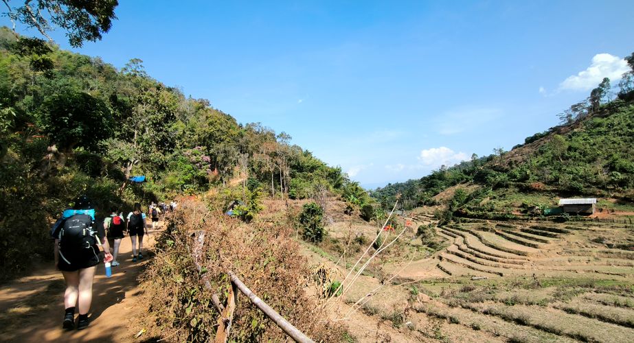 jungle trekking thailand gids feb 2024 18 jungle trekking thailand gids feb 2024 18
