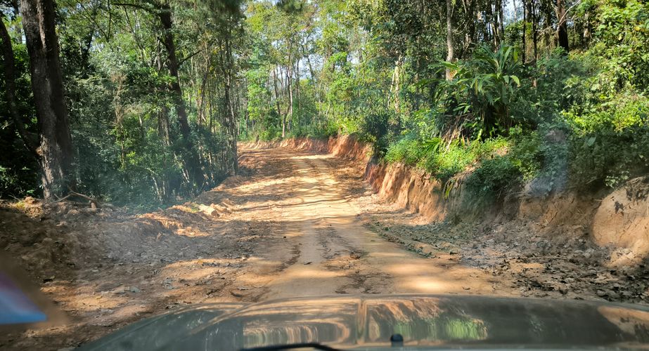 jungle trekking thailand gids feb 2024 2 jungle trekking thailand gids feb 2024 2