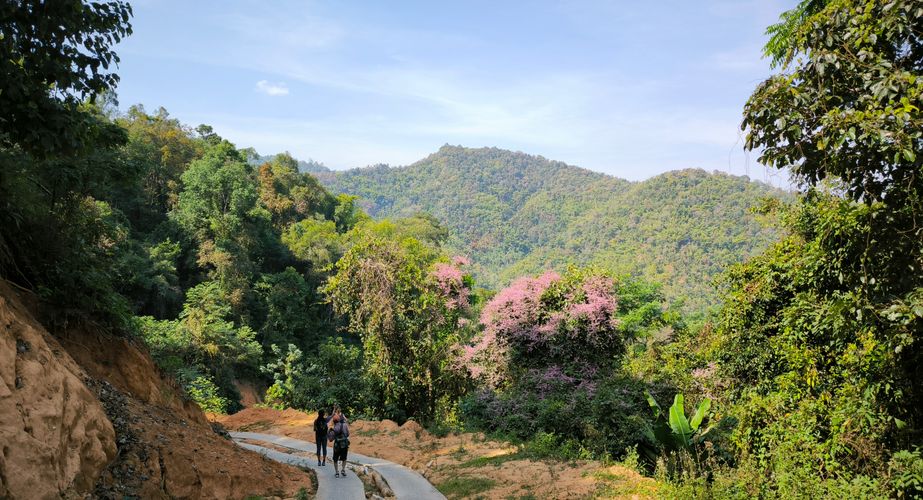 jungle trekking thailand gids feb 2024 6 jungle trekking thailand gids feb 2024 6