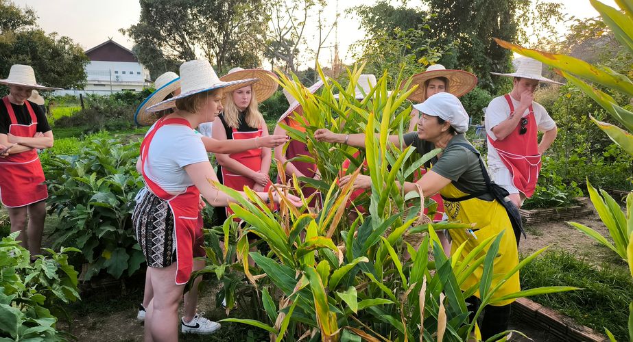 kookles boerderij chiang mai thailand gids feb 2024 10 kookles boerderij chiang mai thailand gids feb 2024 10