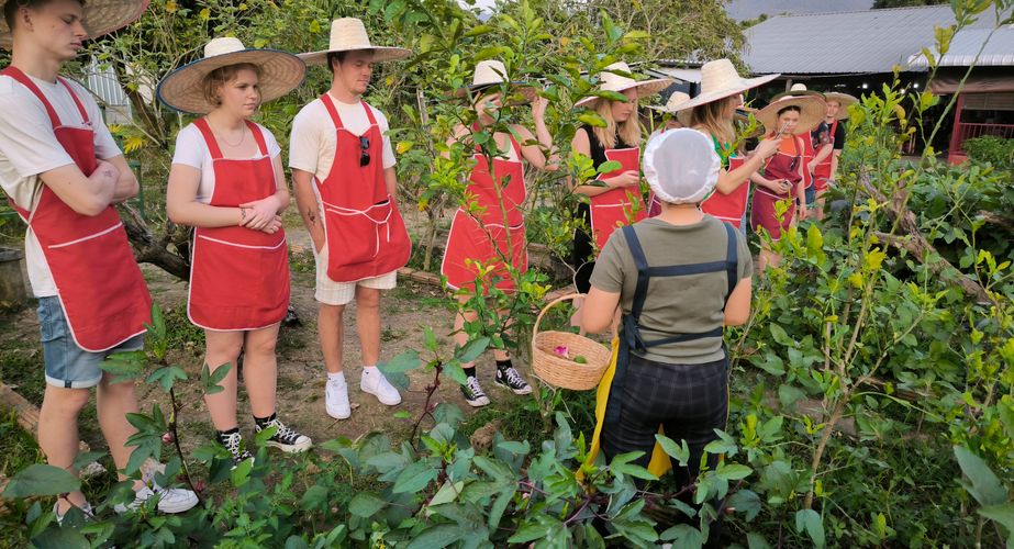 kookles boerderij chiang mai thailand gids feb 2024 11 kookles boerderij chiang mai thailand gids feb 2024 11