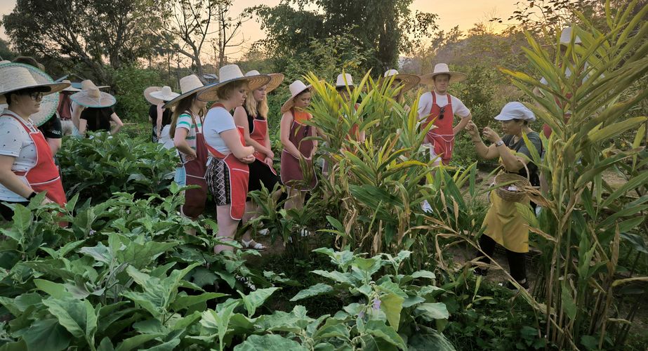 kookles boerderij chiang mai thailand gids feb 2024 9 kookles boerderij chiang mai thailand gids feb 2024 9