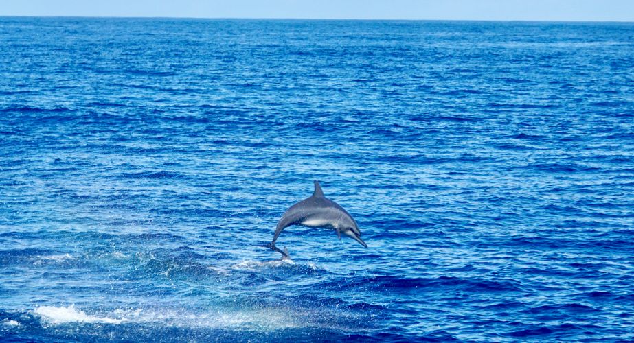 kuan fang 2IKkoG1JIrs unsplash