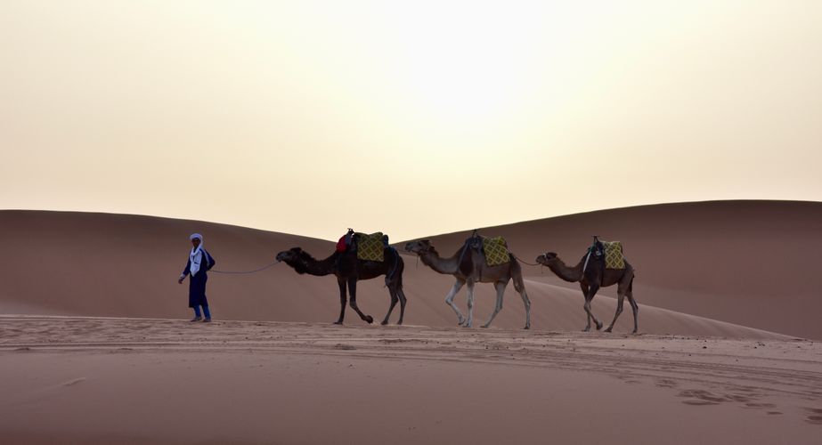 merzouga woestijn marokko winter groepsreis mei 2022 105