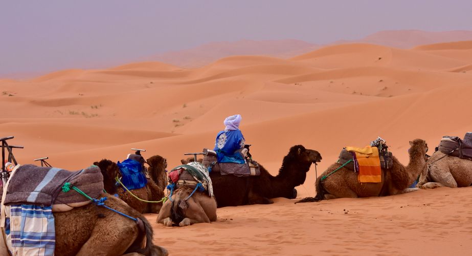 merzouga woestijn marokko winter groepsreis mei 2022 83