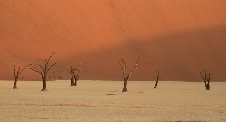 namibie_dode_bomen_woestijn_deadvlei_025