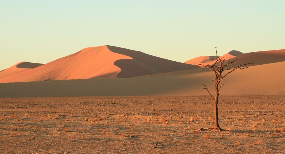 namibie_woestijn_duinen_dodeboom_sossusvlei_004