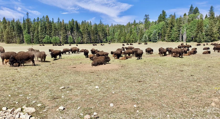 overig nationale parken rondreis31