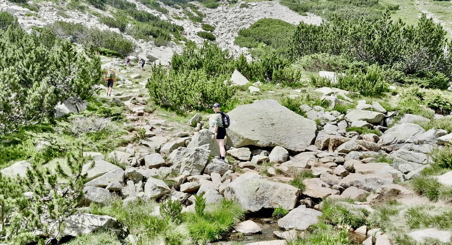 pirin national park bulgarije 2022 23 pirin national park bulgarije 2022 23