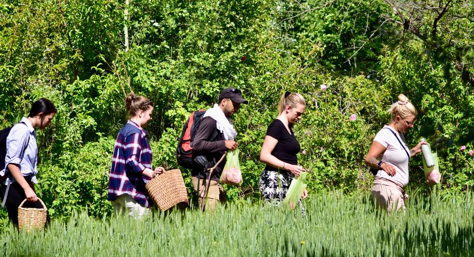 rozenvallei marokko winter groepsreis mei 2022 48