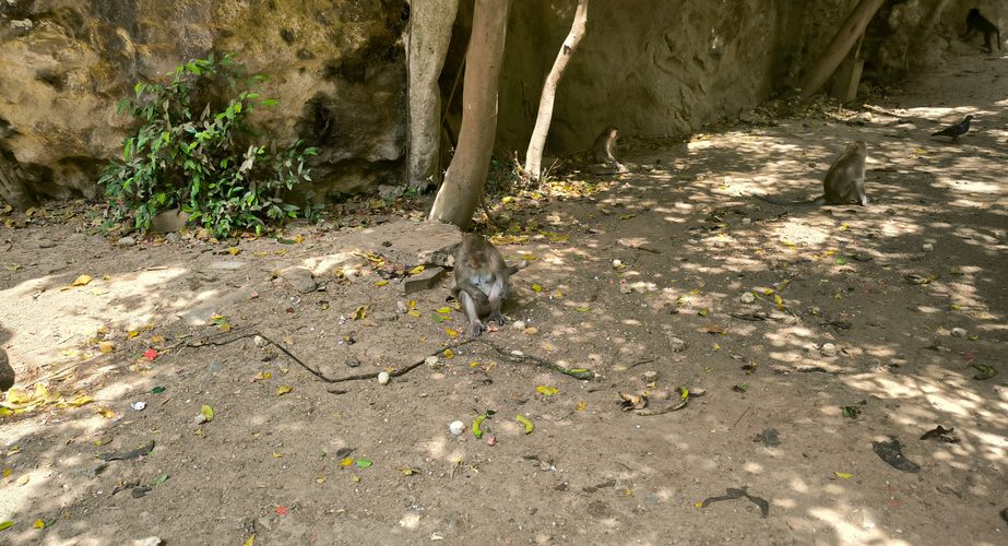 thailand gids feb 2024 4 thailand gids feb 2024 4