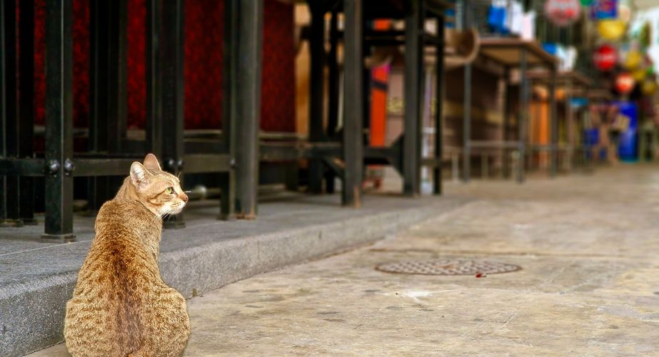 thailand groepsreis 1 thailand groepsreis 1