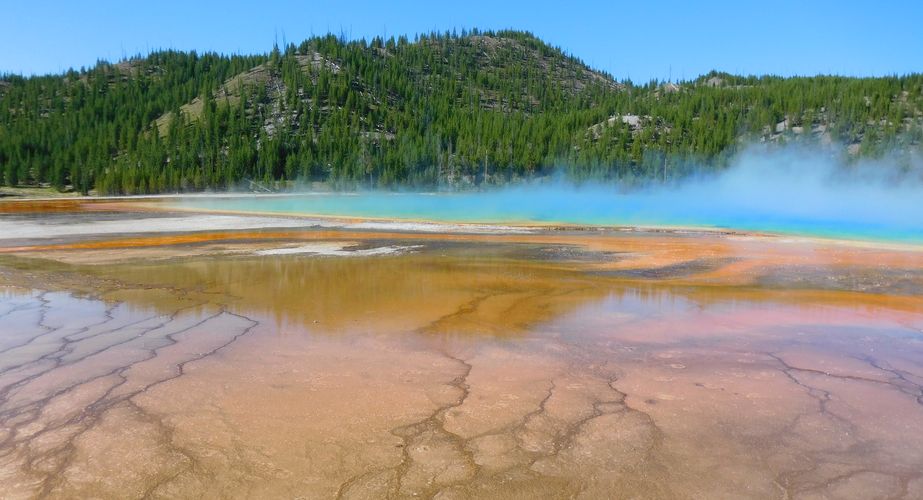 yellowstone national park 1129