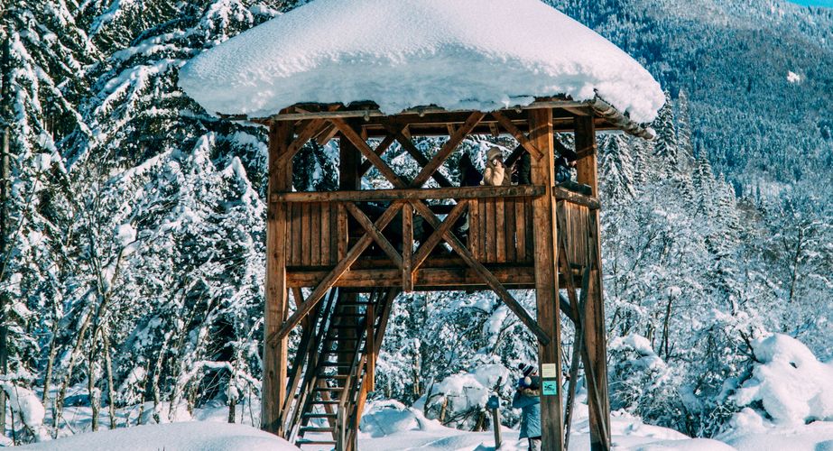 Excursie Kranjska Gora en Zelenci natuurreservaat Excursie Kranjska Gora en Zelenci natuurreservaat