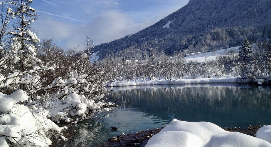 Excursie Kranjska Gora en Zelenci natuurreservaat Excursie Kranjska Gora en Zelenci natuurreservaat